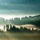 Illustration for article titled Forests, fog and light make these long-exposure photographs look like paintings